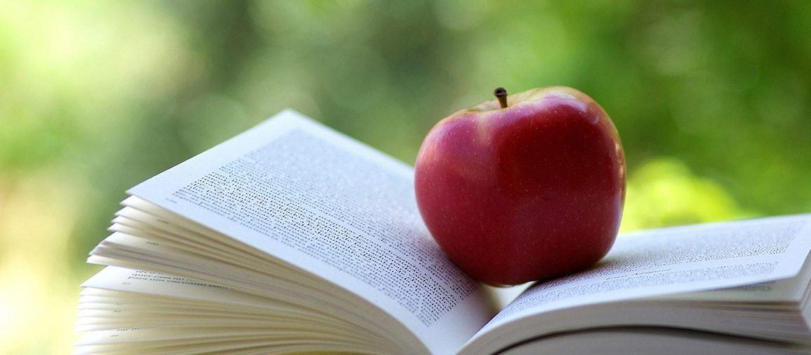 Studying in the University